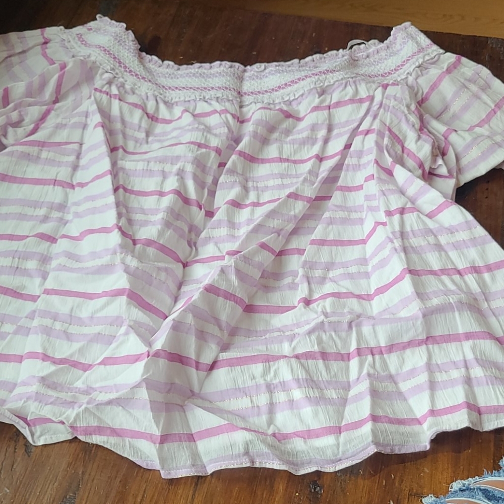 EUC Ladies Lane Bryant Top size 26/28